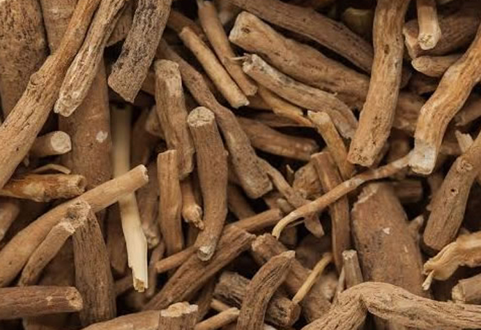 High quality with low price Ashwagandha manufacture in india