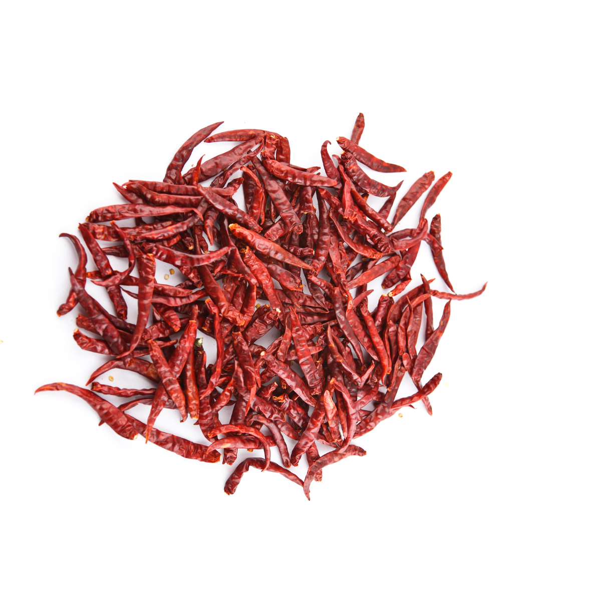 Teja Red Chilli without Stem – High Pungency & Deep Red Color | Export Quality from India