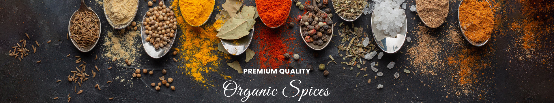 Bizcoverindia.com offer