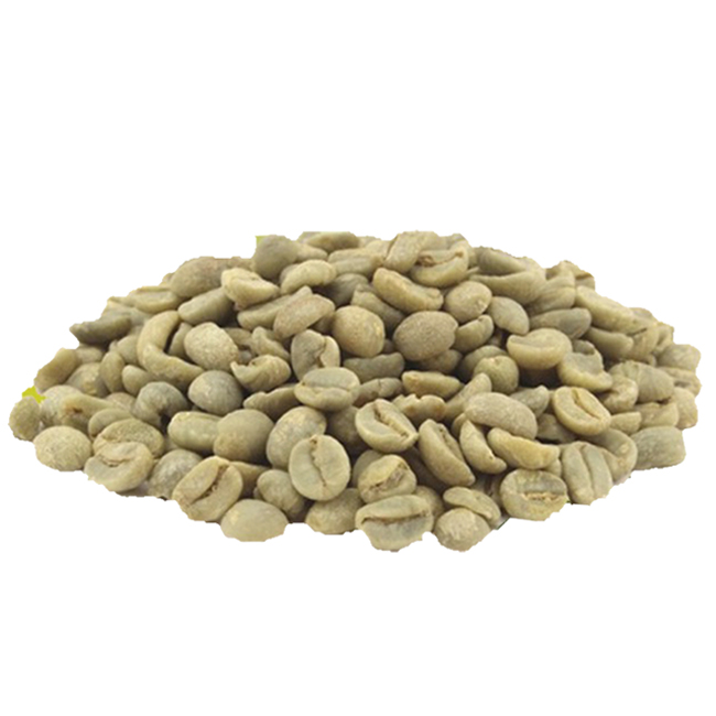 Premium quality natural Coffee Bean Exporters From India with premium standard and high quality at factory price from India