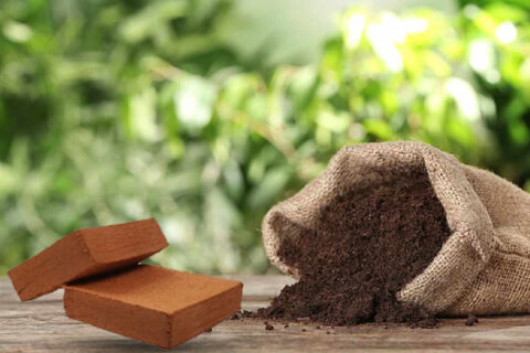 Bizcoverindia.com offer