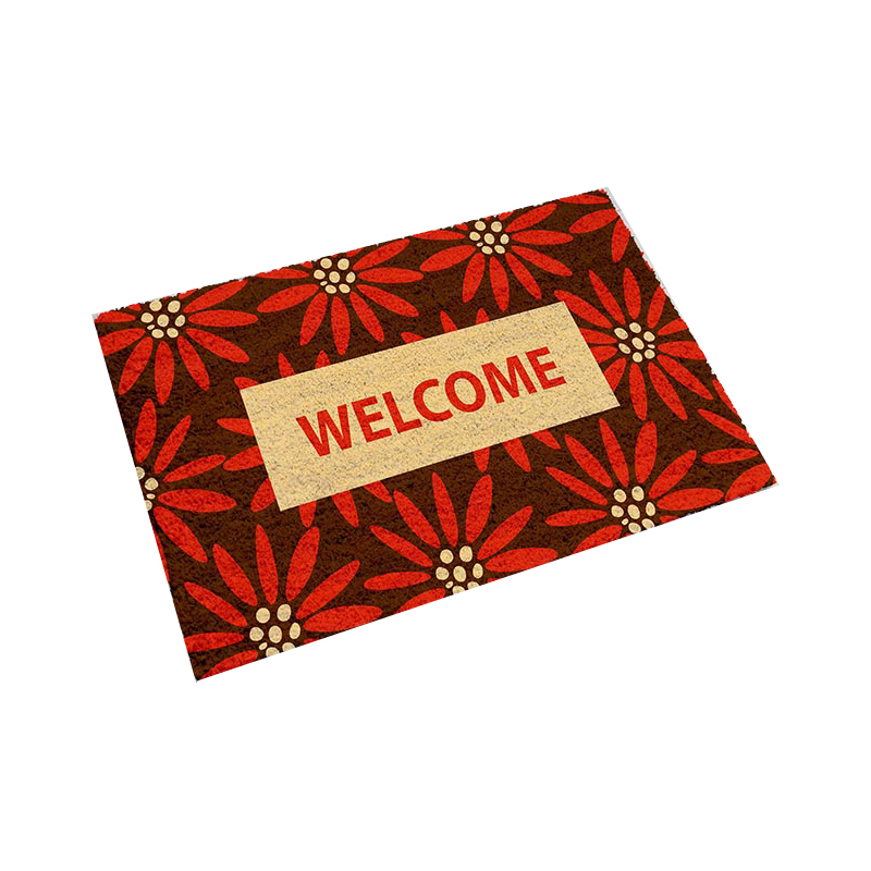 Attractive Printed Entrance Mat (45x75cm)