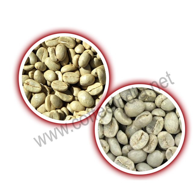 Top Grade Organic Coffee Beans Robusta Green Bean with customized packing for wholesale Price Export From India