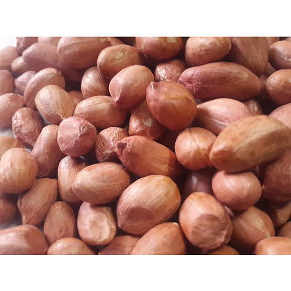 High quality Raw Bold peanuts 80/90 Food Organic Raw Peanut Healthy Tasty Snack Groundnuts