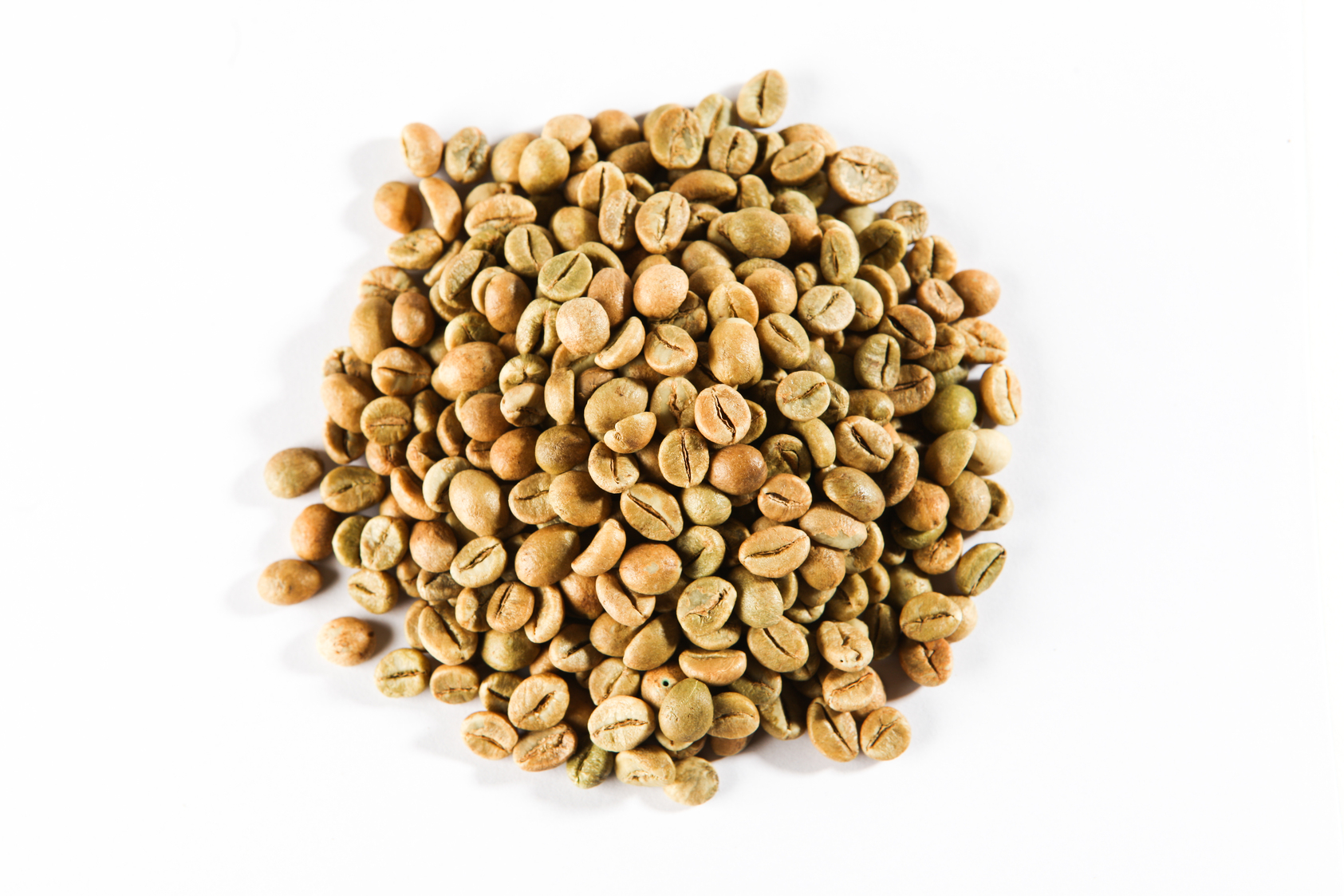 Factory Supplier Robusta Green Coffee Bean at Wholesale Price  India-coffee with high grade and good quality from India