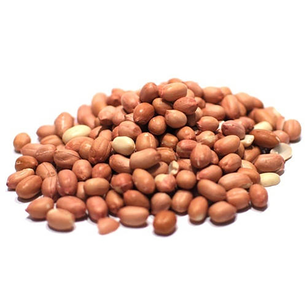 Peanuts healthy fats Raw Bold Size 80/90 customized packing affordable price export from India with high quality and best price